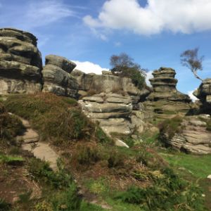 Free family attractions in Yorkshire