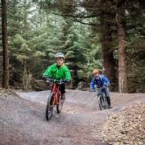 Dalby Forest cycle skills area