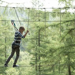 High rope balance in the treetops