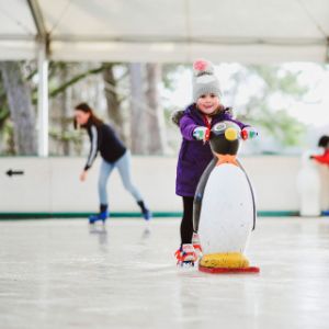 Child with penguin on ice rink