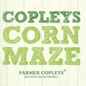Farmer Copley's corn maze