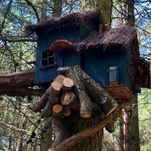 Blue fairy house in the trees