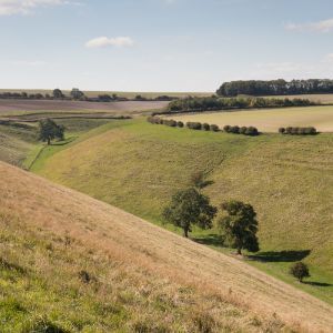 Rolling hills of the Yorkshire Wolds