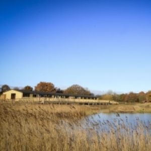 potteric carr nature reserve lake and hide