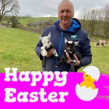 Happy Easter man with lambs