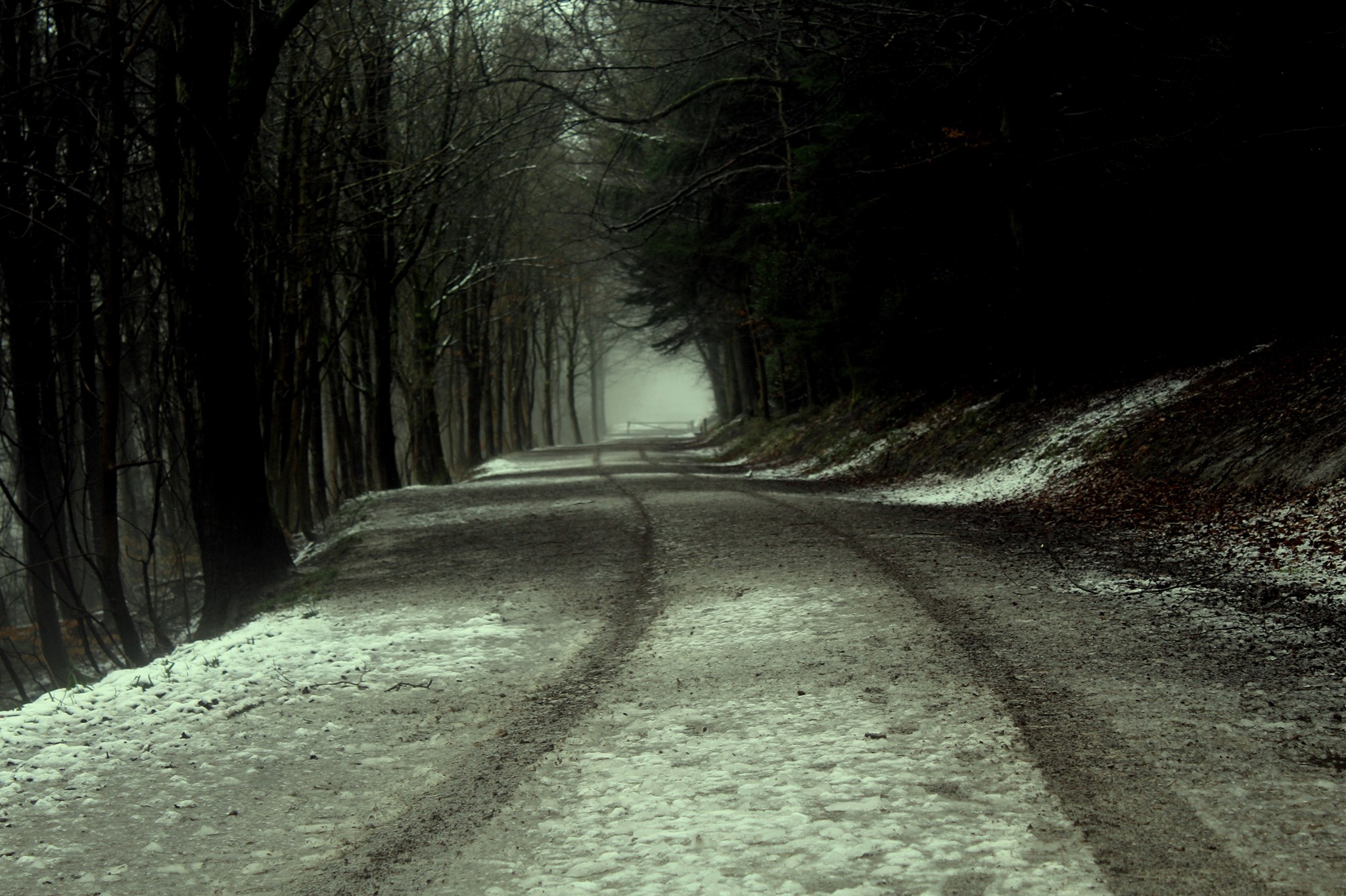 snowy atmosphereic lane in the forest with tyre tracks