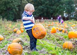 Small boy lifting large pumpkin
