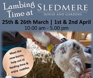 Sledmere Lambing