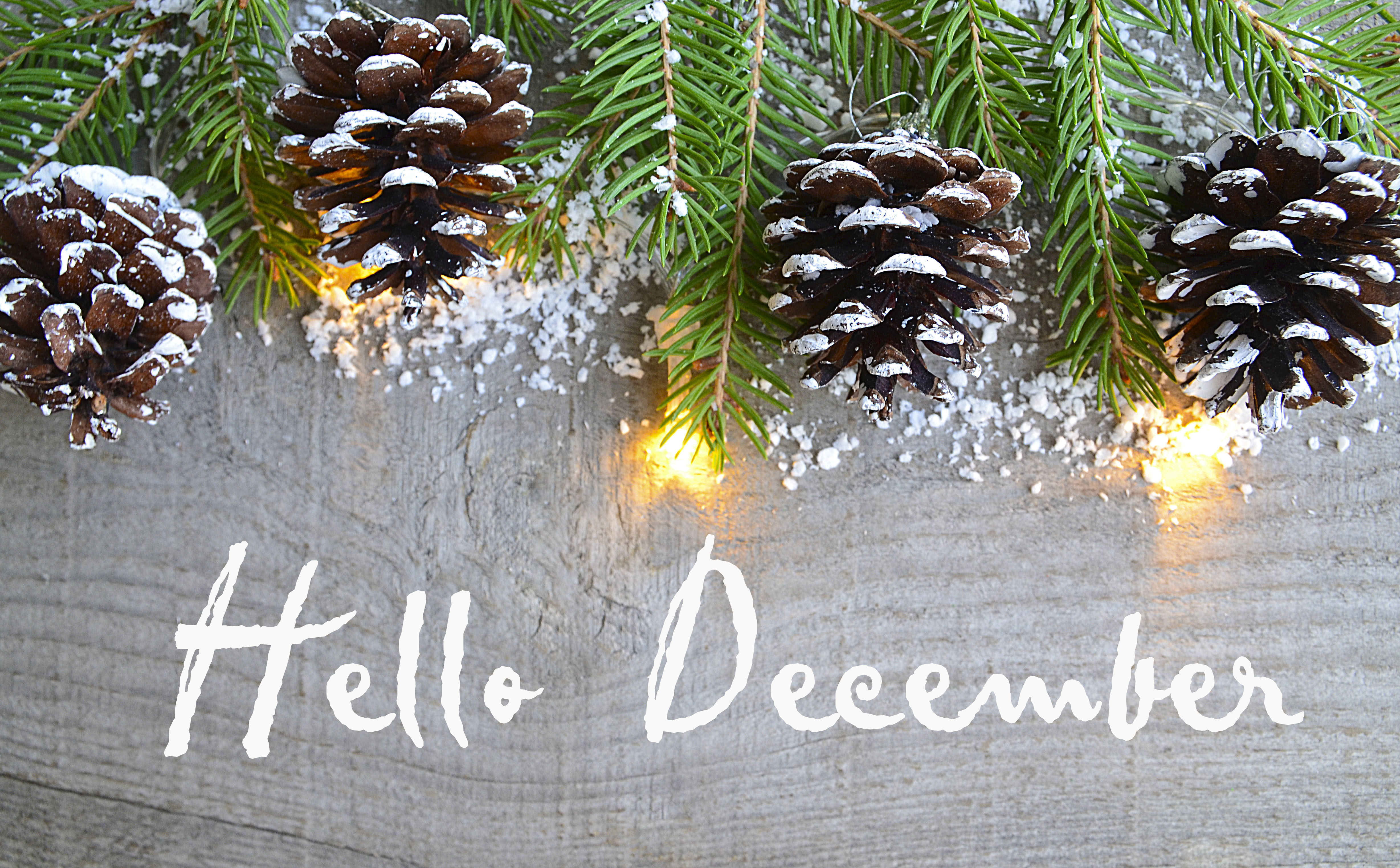Hello December logo with frosty pine cones