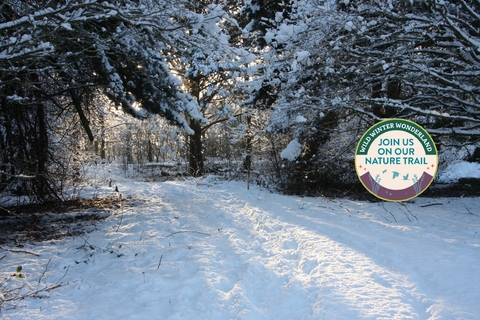 Wild Winter Trail at Potteric Carr