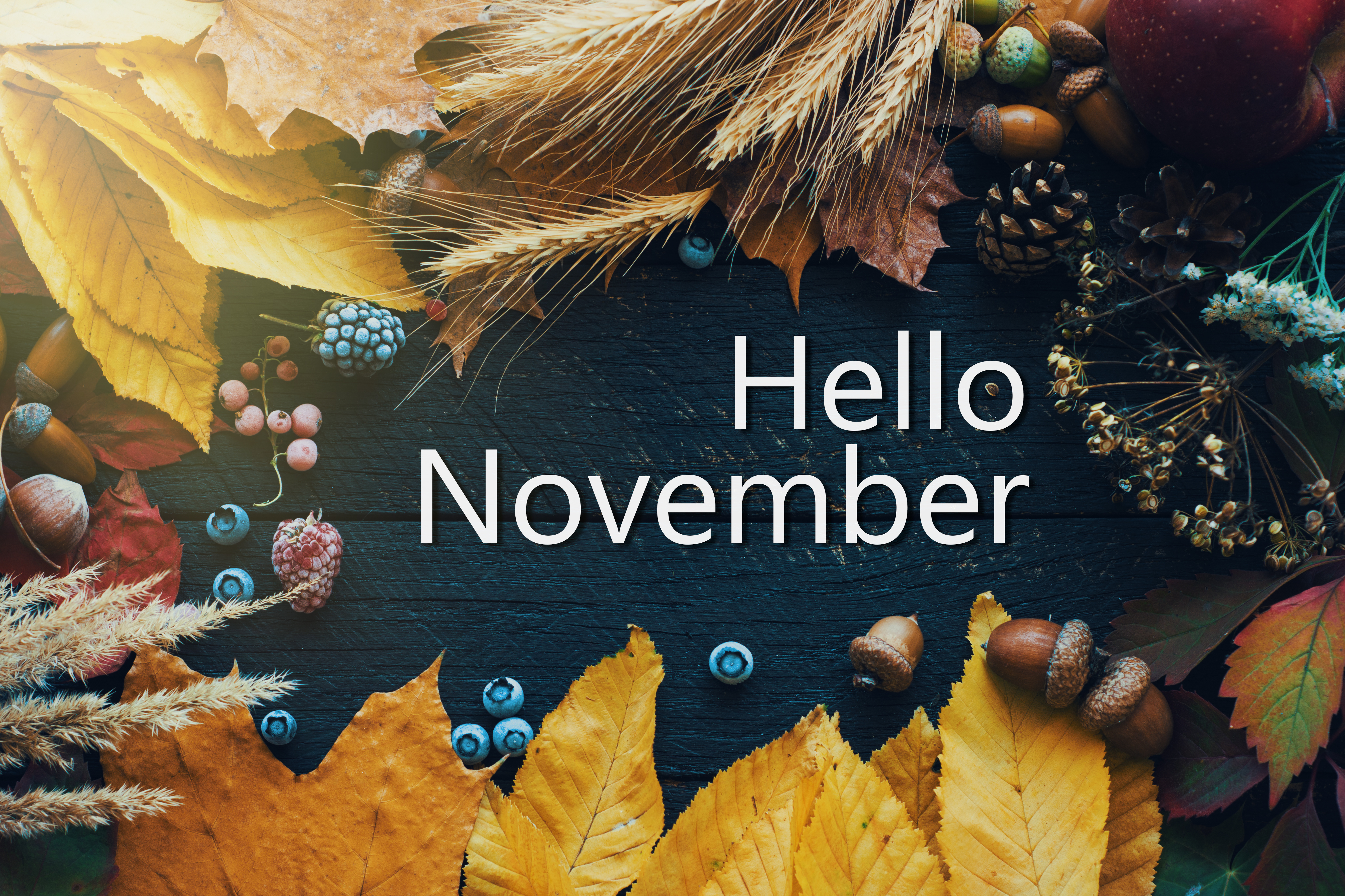 Hello November logo with late autumn leaves