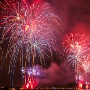 fireworks explodig in bright colours against a night sky