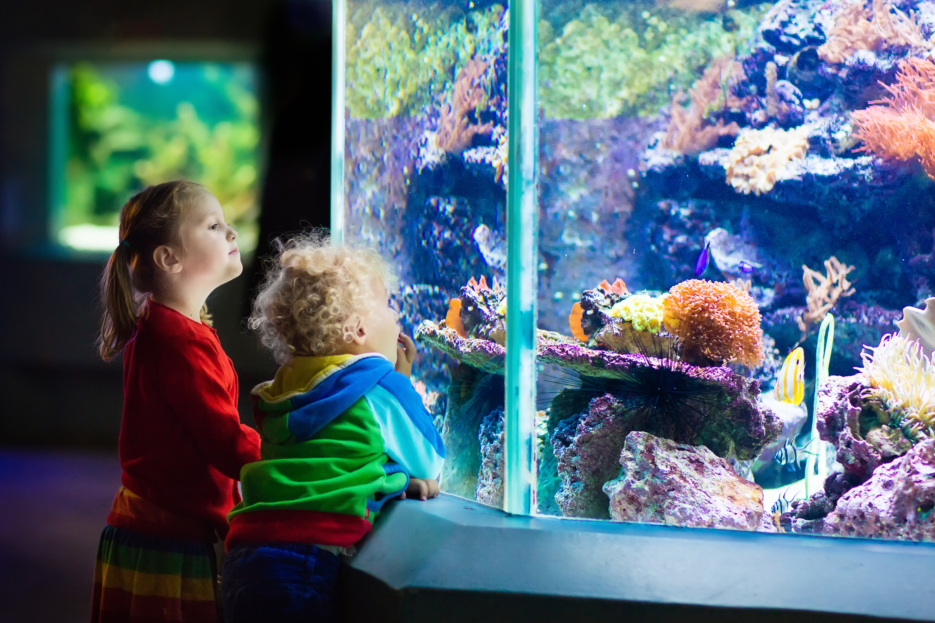 Two young children looking into a large circular aquarium tank