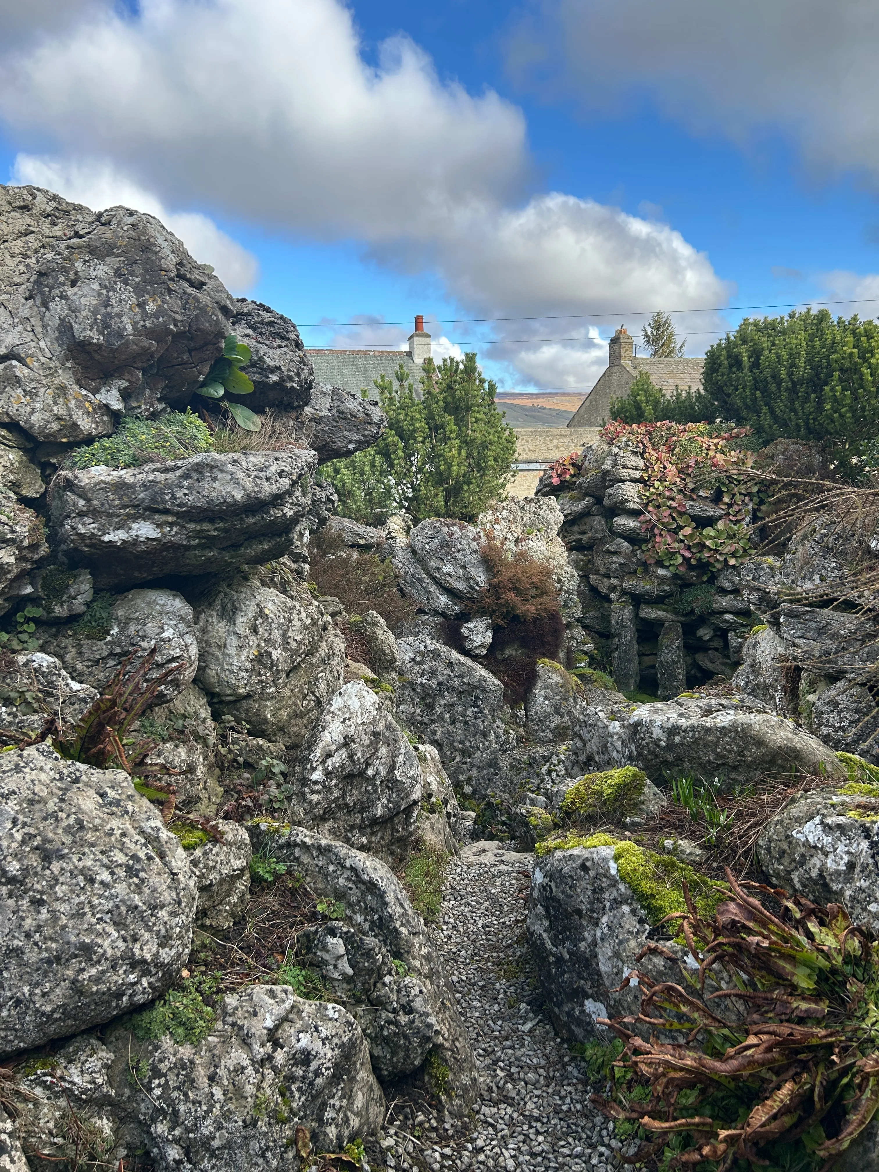 limestone rocks piled up to 8m high in the rock garden