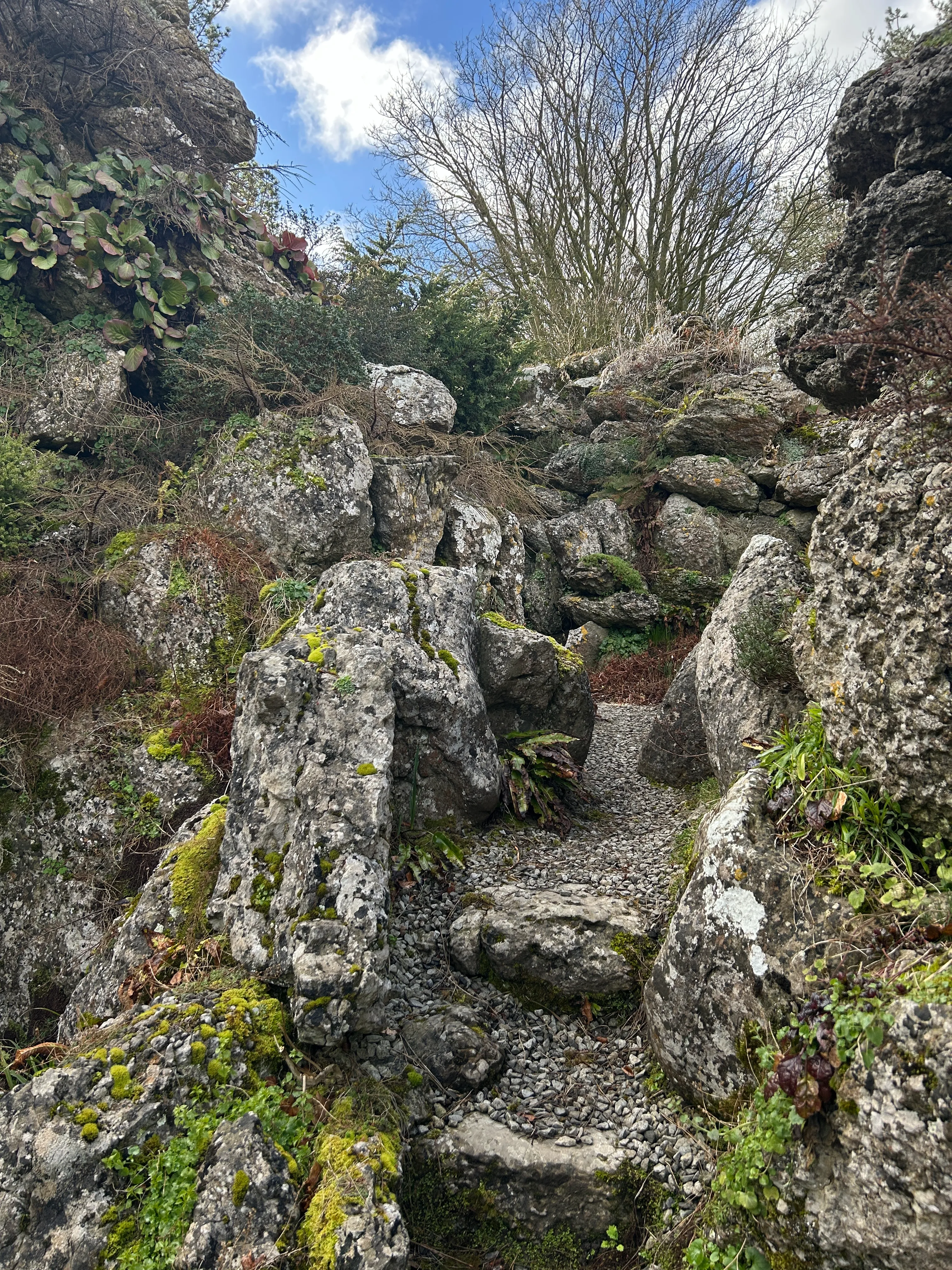 steps in the aysgarth rock garden