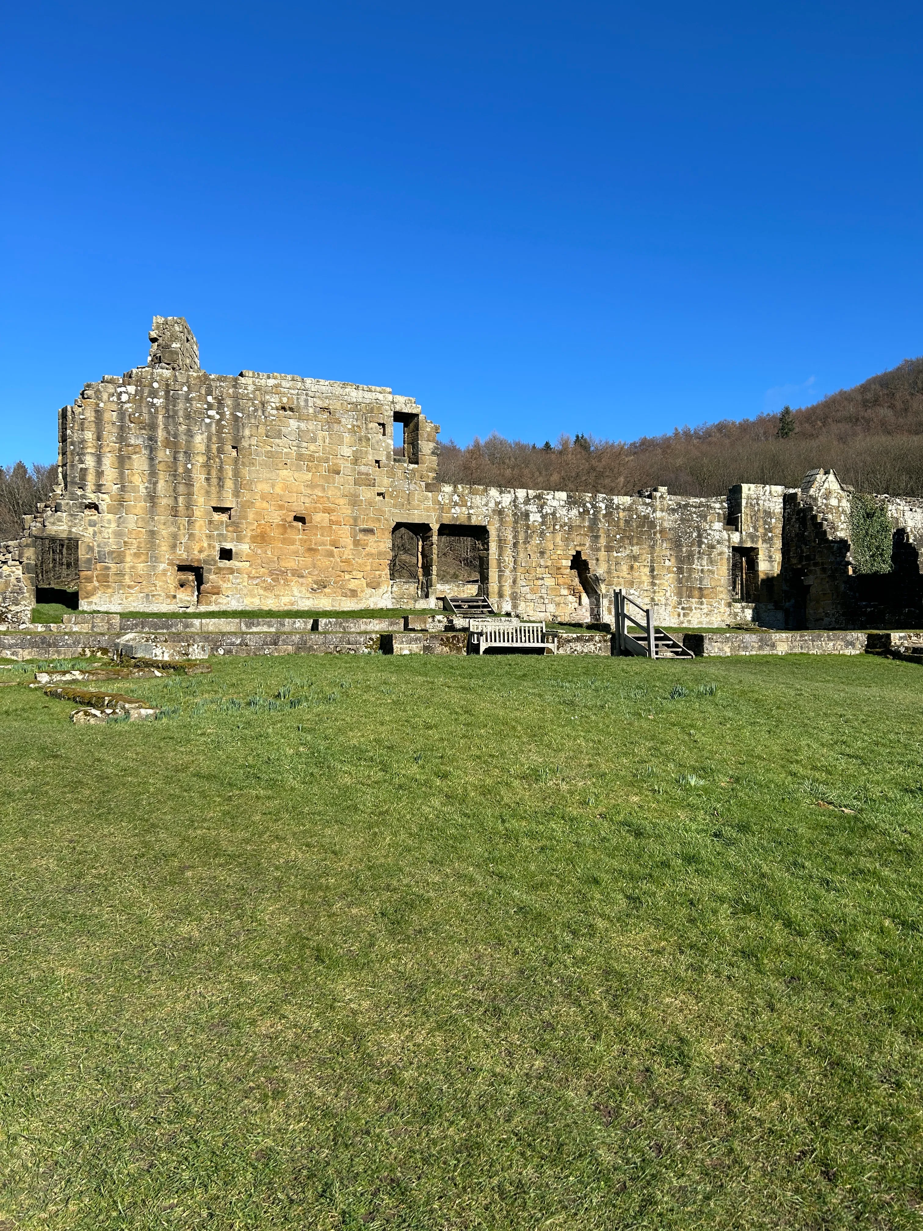 ruins of the Carthusian monastery at Mount Grace