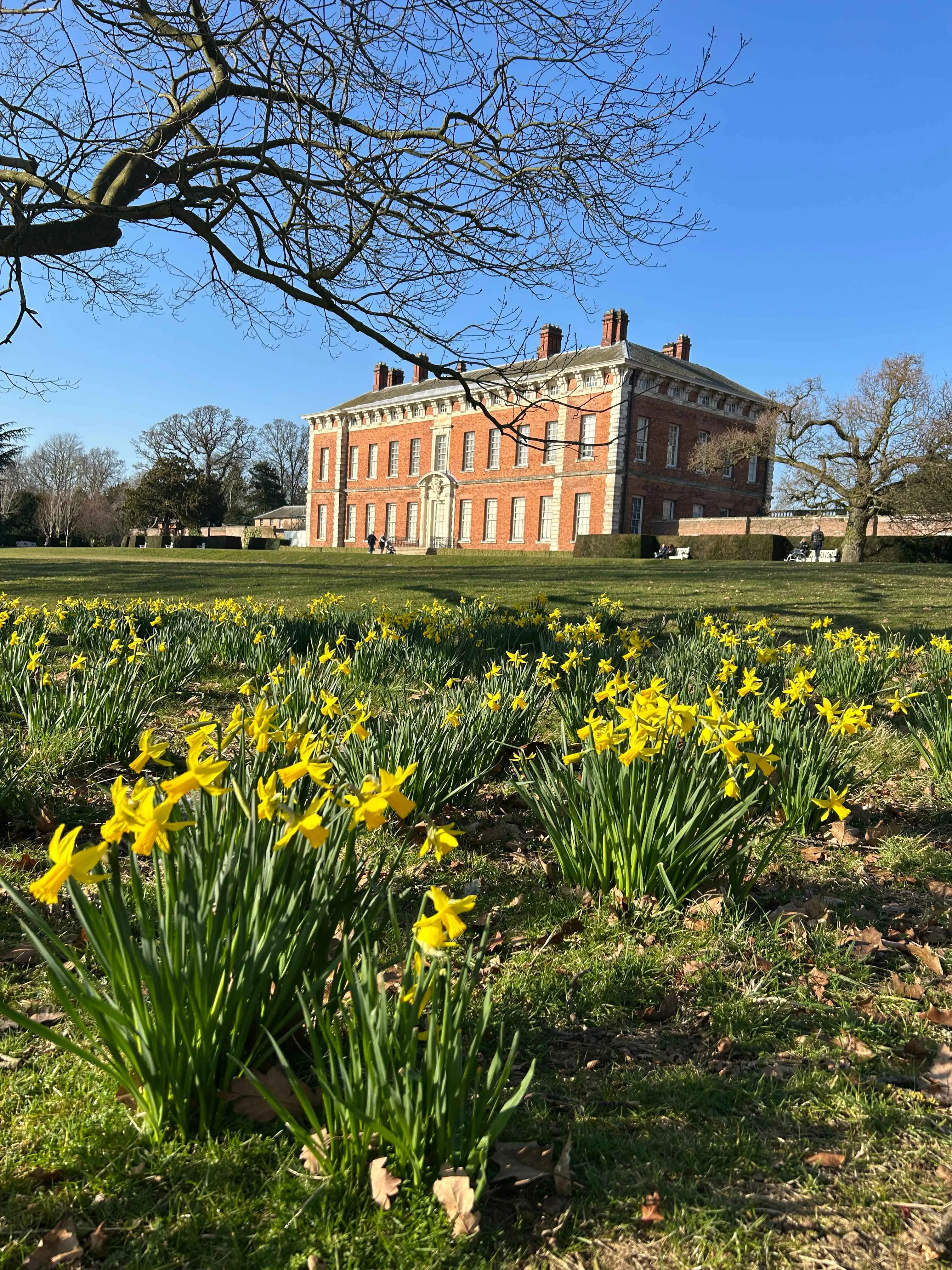 view of the hall in the sunshine with daffodils in the foreground