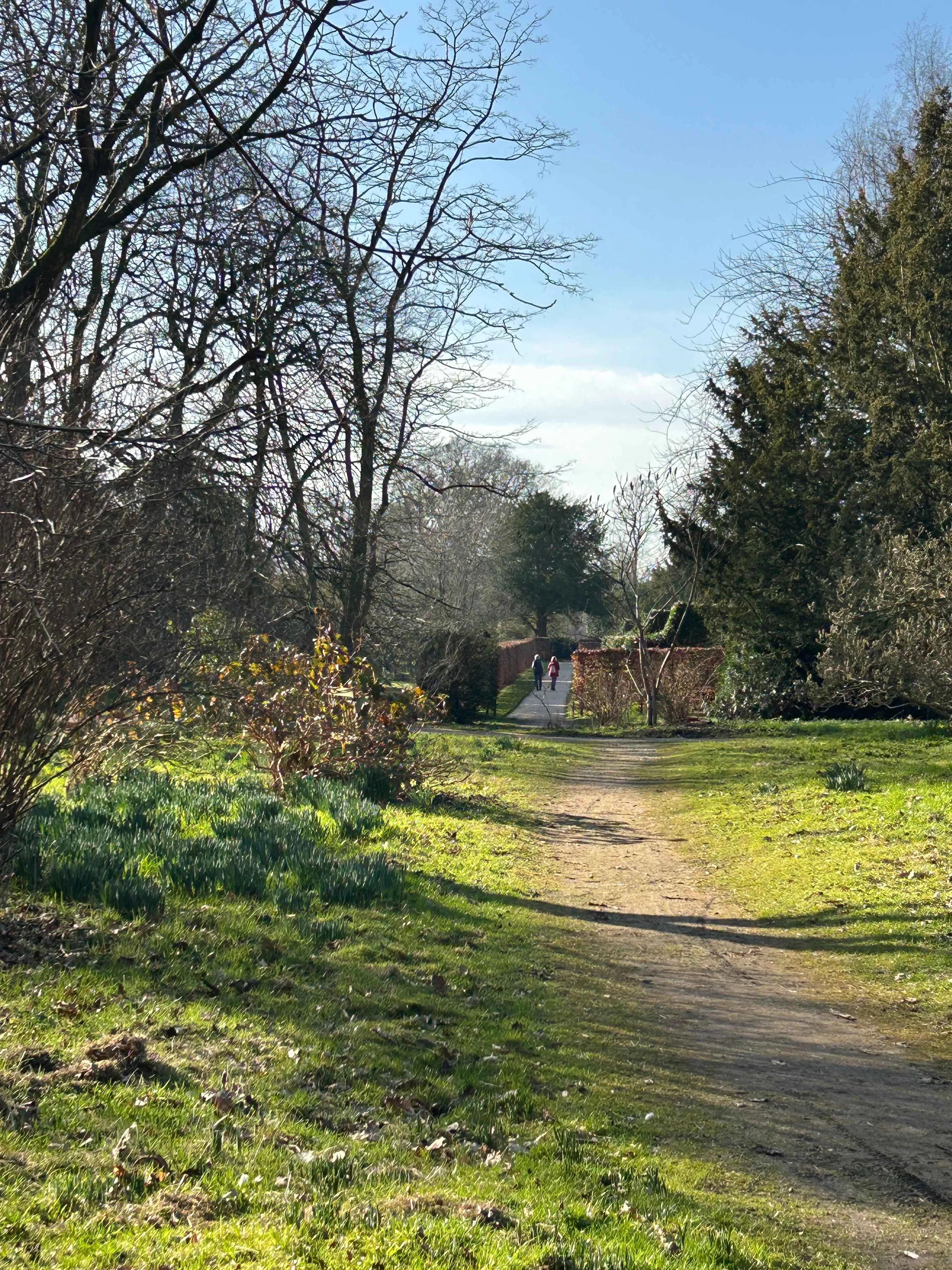 woodland path meandering through the gardens at Beningbrough