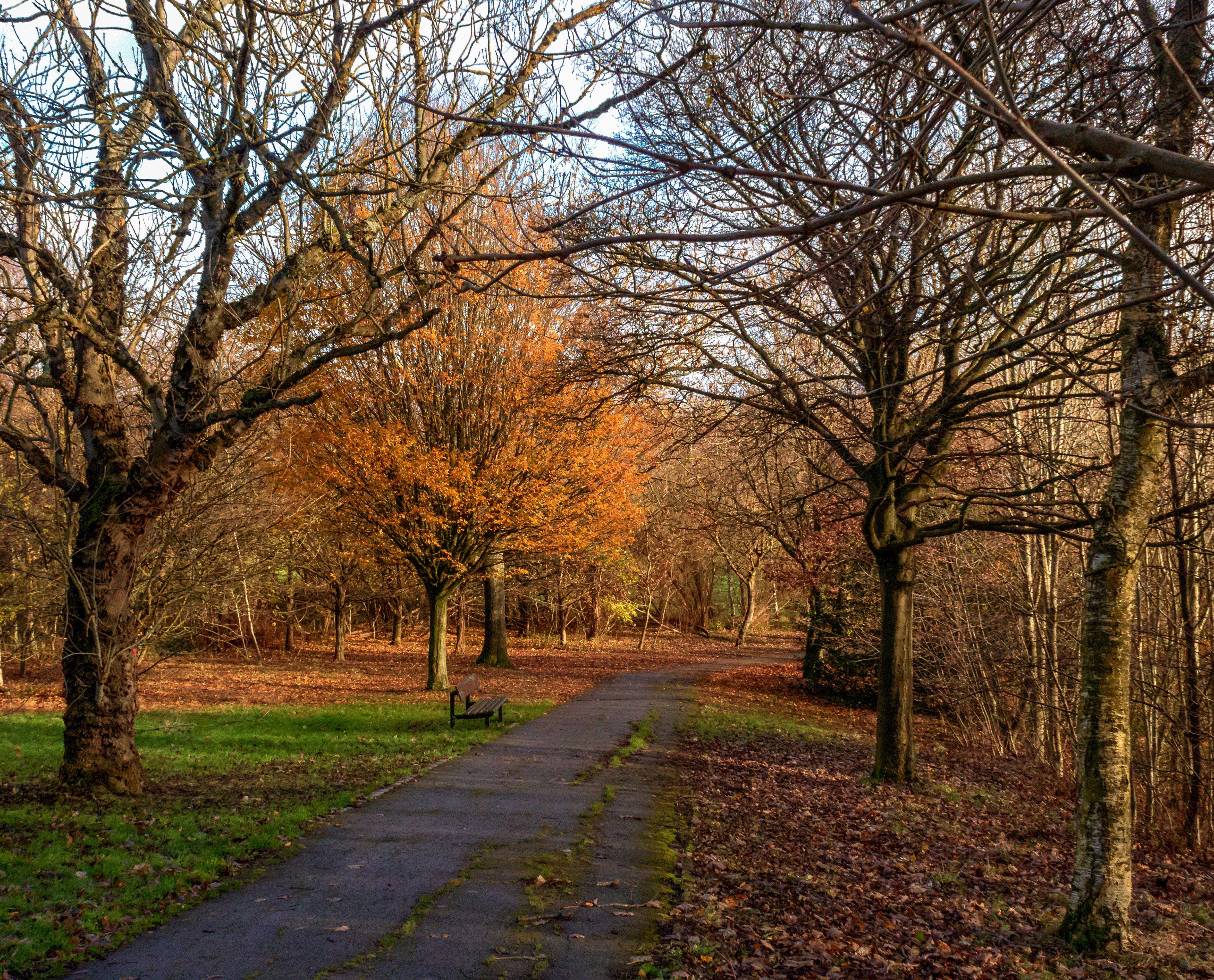 Northcliffe Park near Bradford, leafy path with autumnal trees.