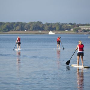 Family on stand up paddle boards on a lake