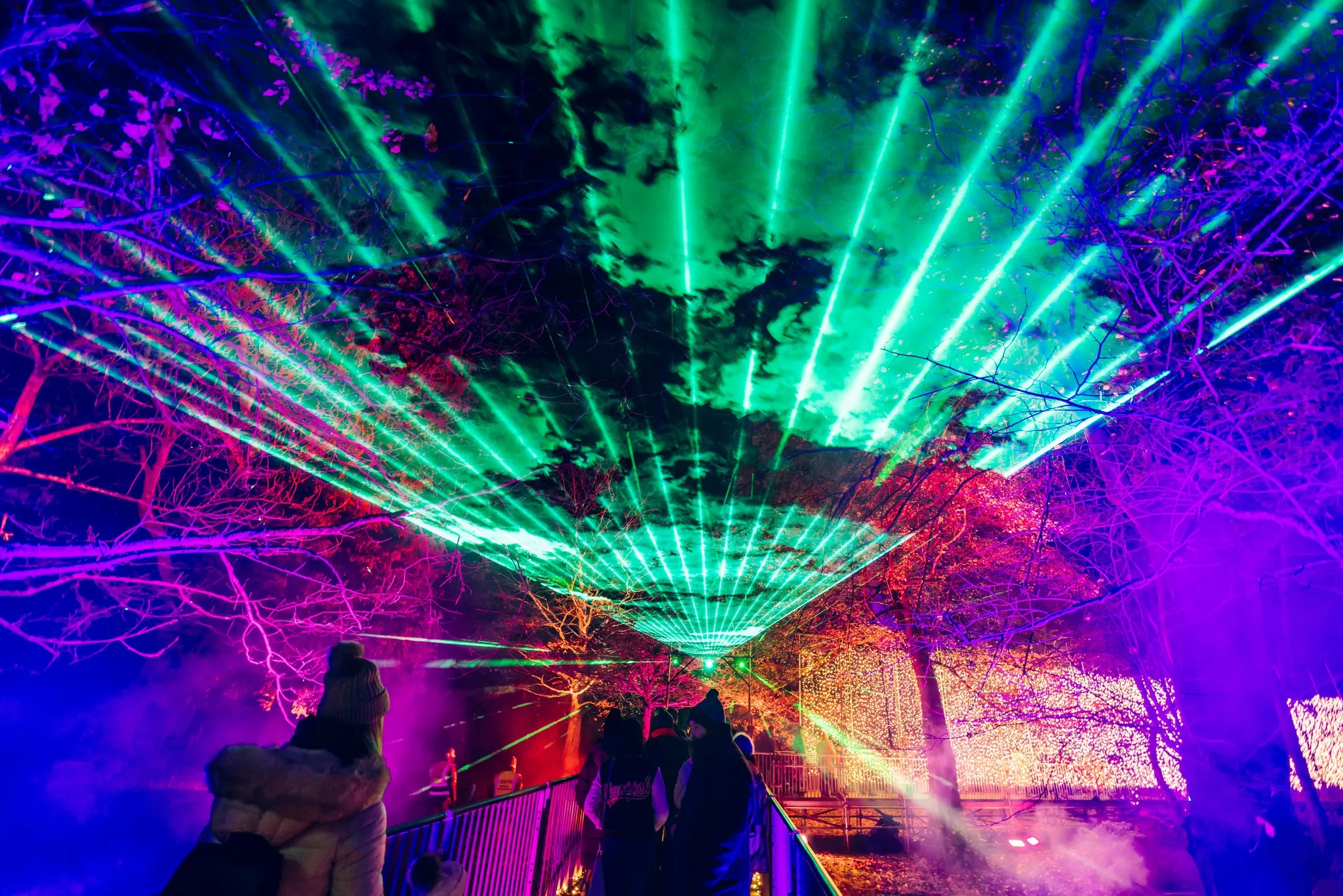 Northern Lights Christmas Lights at Temple Newsam