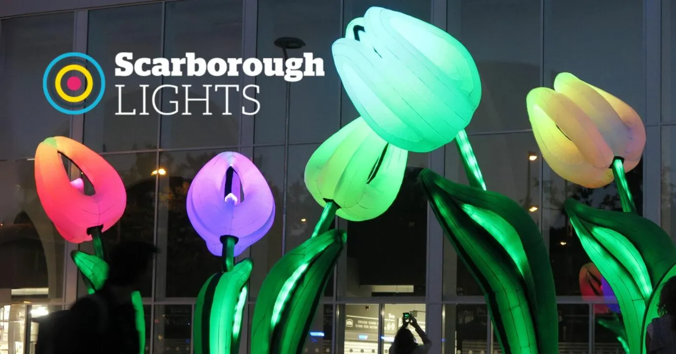 tulips made of light