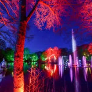 Stockeld Park lake illuminations