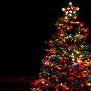 Christmas Tree Lights