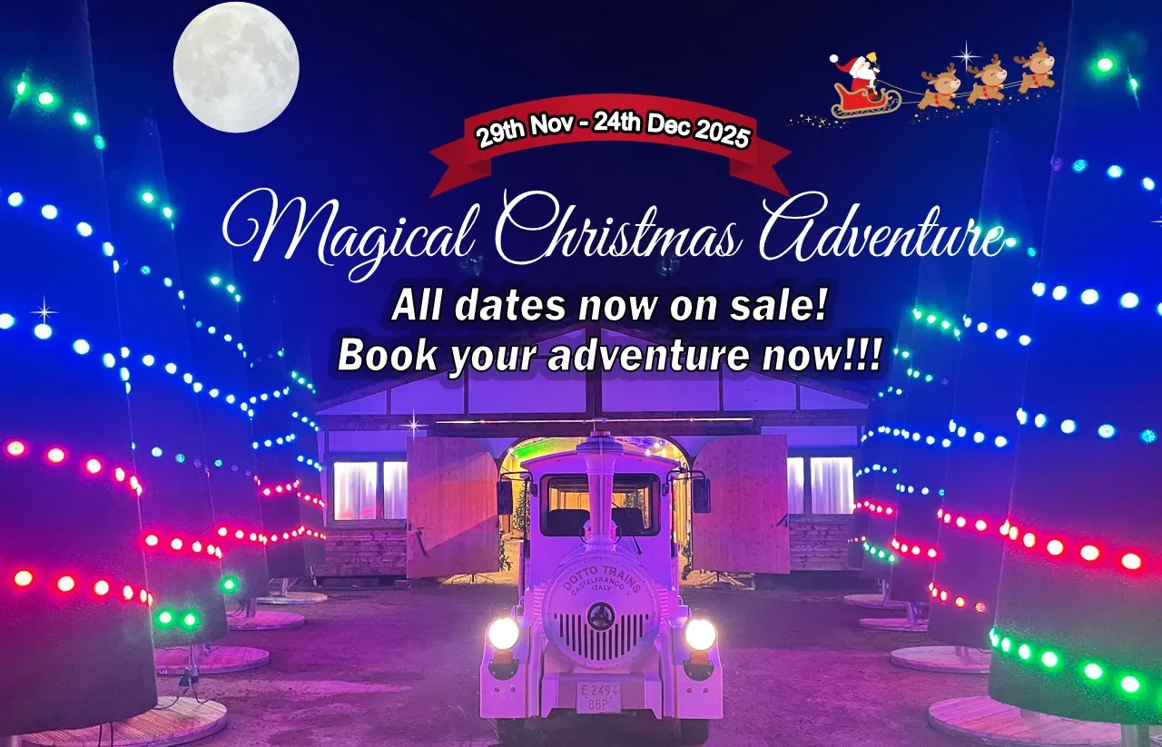 Land train lit by Christmas sparkly lights