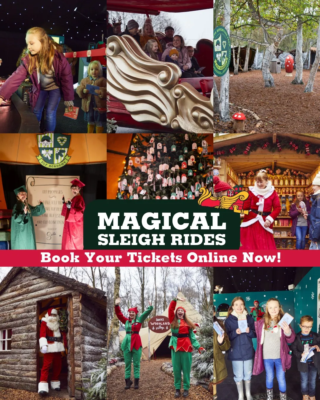 Piglets Farm Christmas sleigh rides, collage of images.