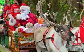 Father Christmas in his sleigh