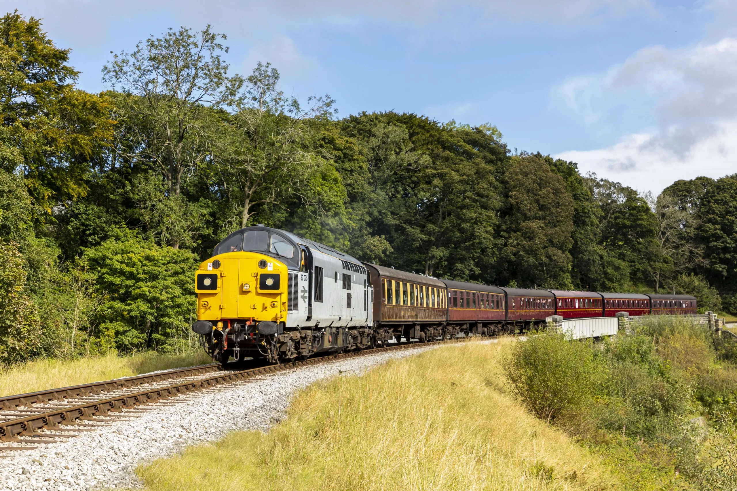 Yellow fronted diesel train on tracks with trees in the background.