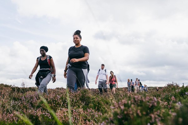 people walking across a heather moorland