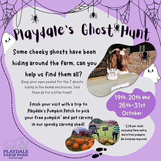 Playdale farm halloween ghost hunt