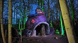 Spookily lit forbidden forest at Stockeld Park Halloween Adventure