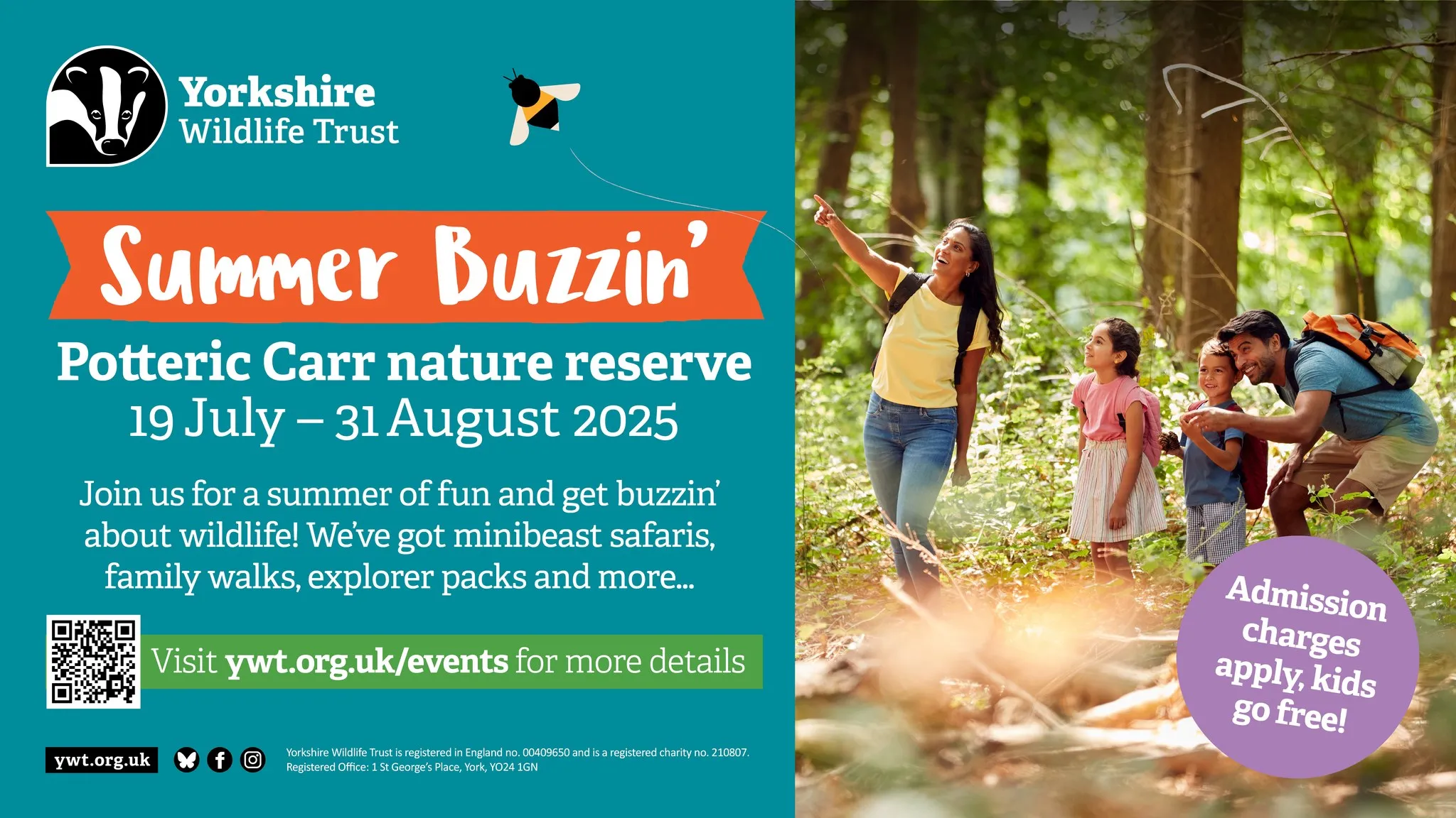 Summer buzzin at Yorkshire Wildlife Trust