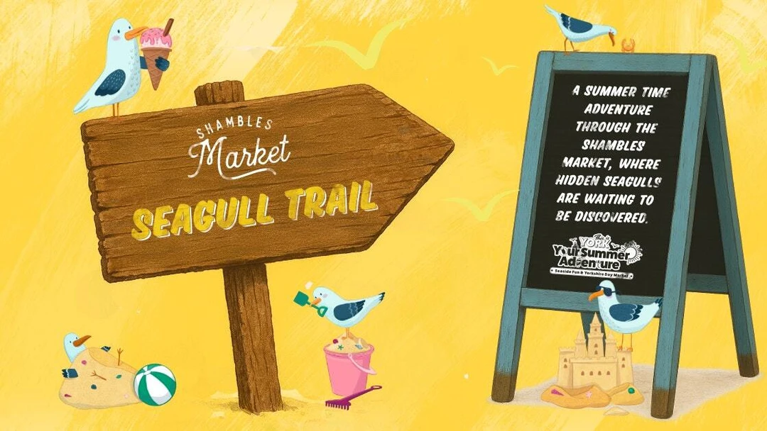 York seagull trail poster