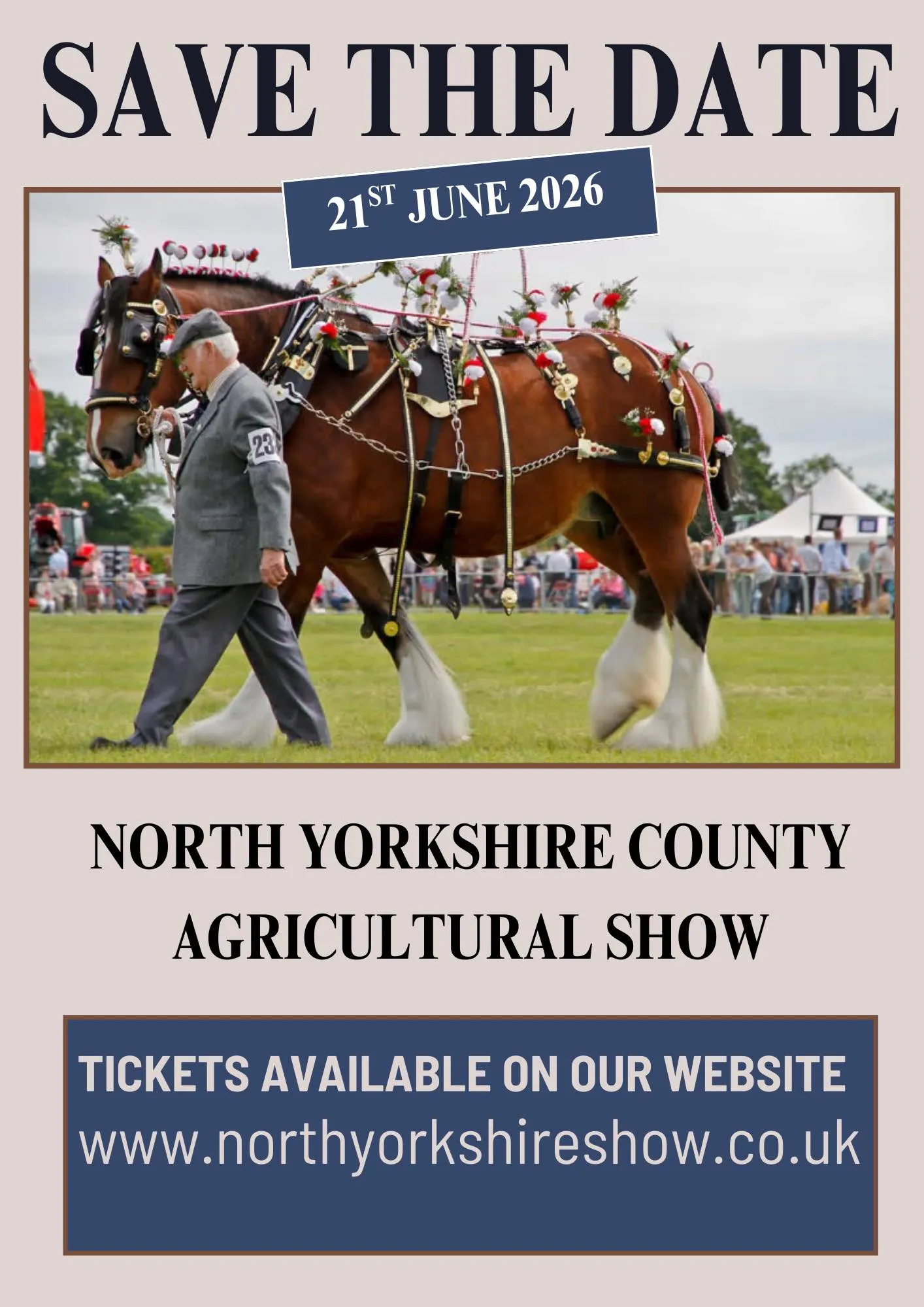 Shire horse at North Yorkshire County Agricultural Show in June 2026