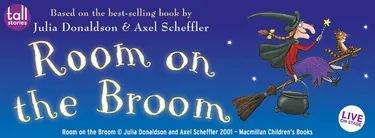 Room on the broom book image of the witch on her brrom flying againstt the night sky