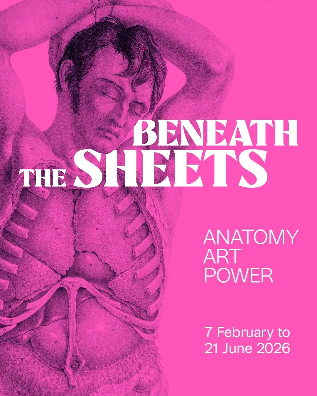 vivid pink background with line rawing or a male opened at the chest with internal organs visible.