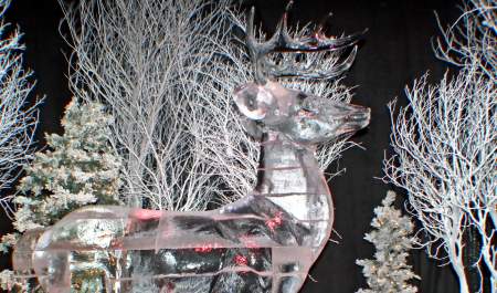 ice reindeer with sparkling trees behind