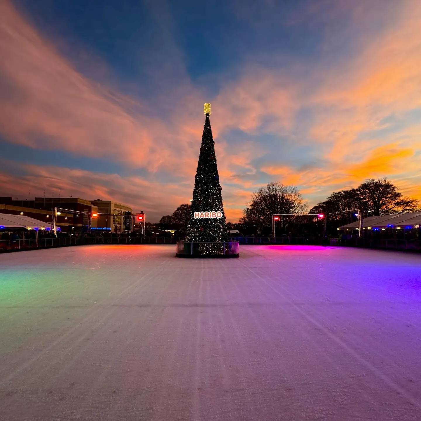 Outdoor ice rink with a large christmas tree in the centre