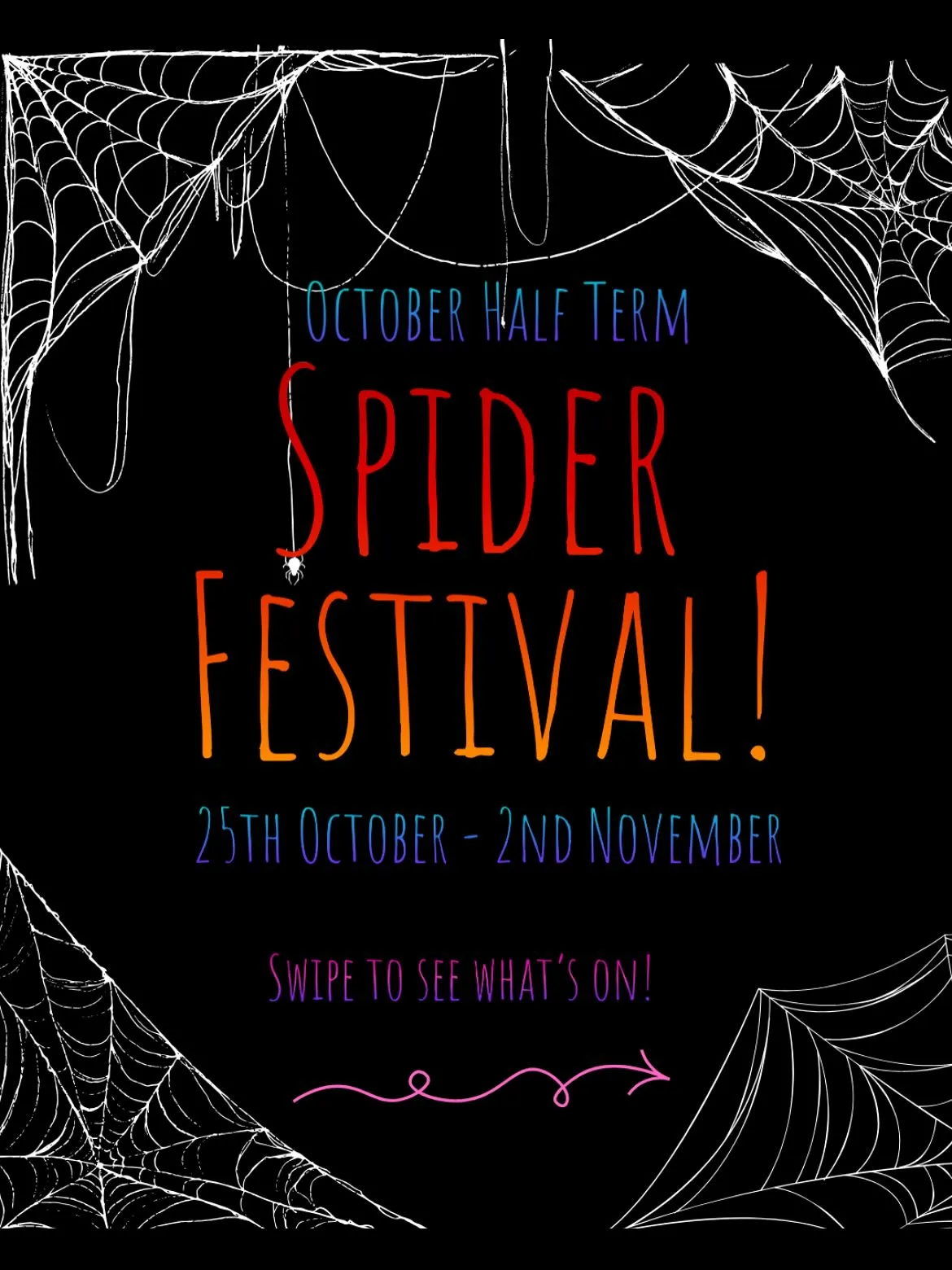 Halloween Spider Week at Askham Bryan