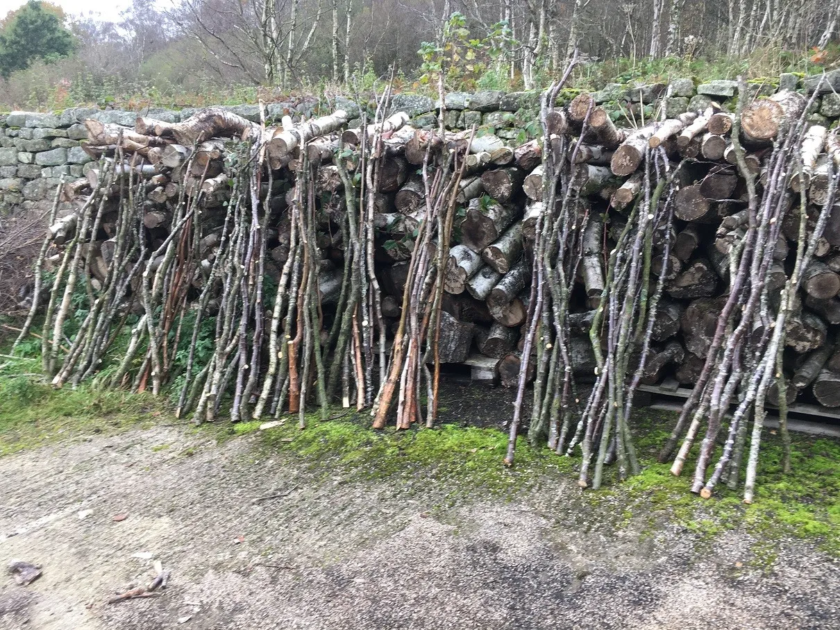 birch stick leaning against a dry stone wall
