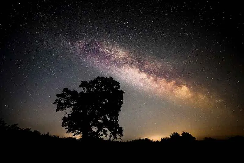 Silhouette of a tree on a hill with a brilliant brightly star filled sky behind.
