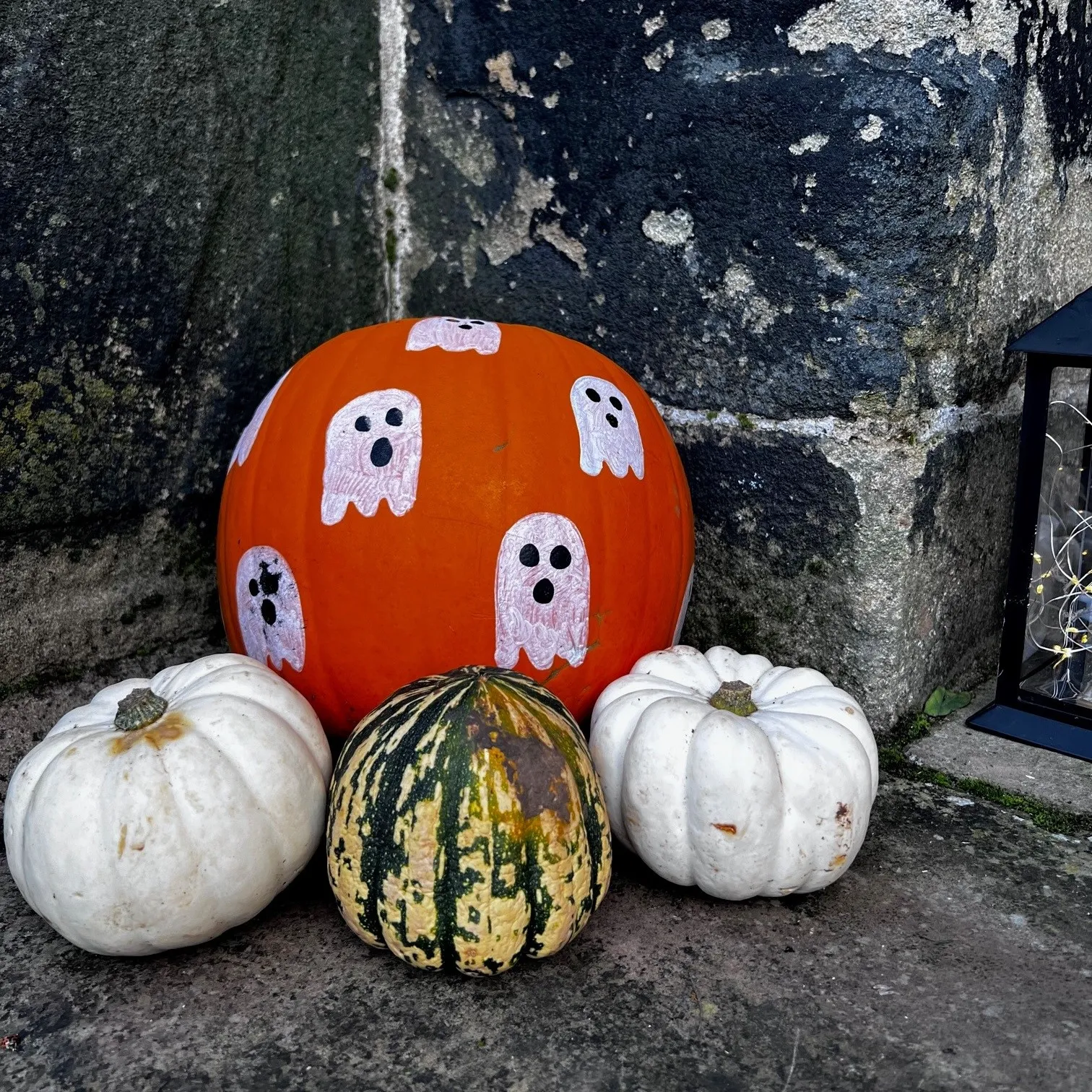 selection of differnt pumpkins and squashes in a variety of colours and sizes