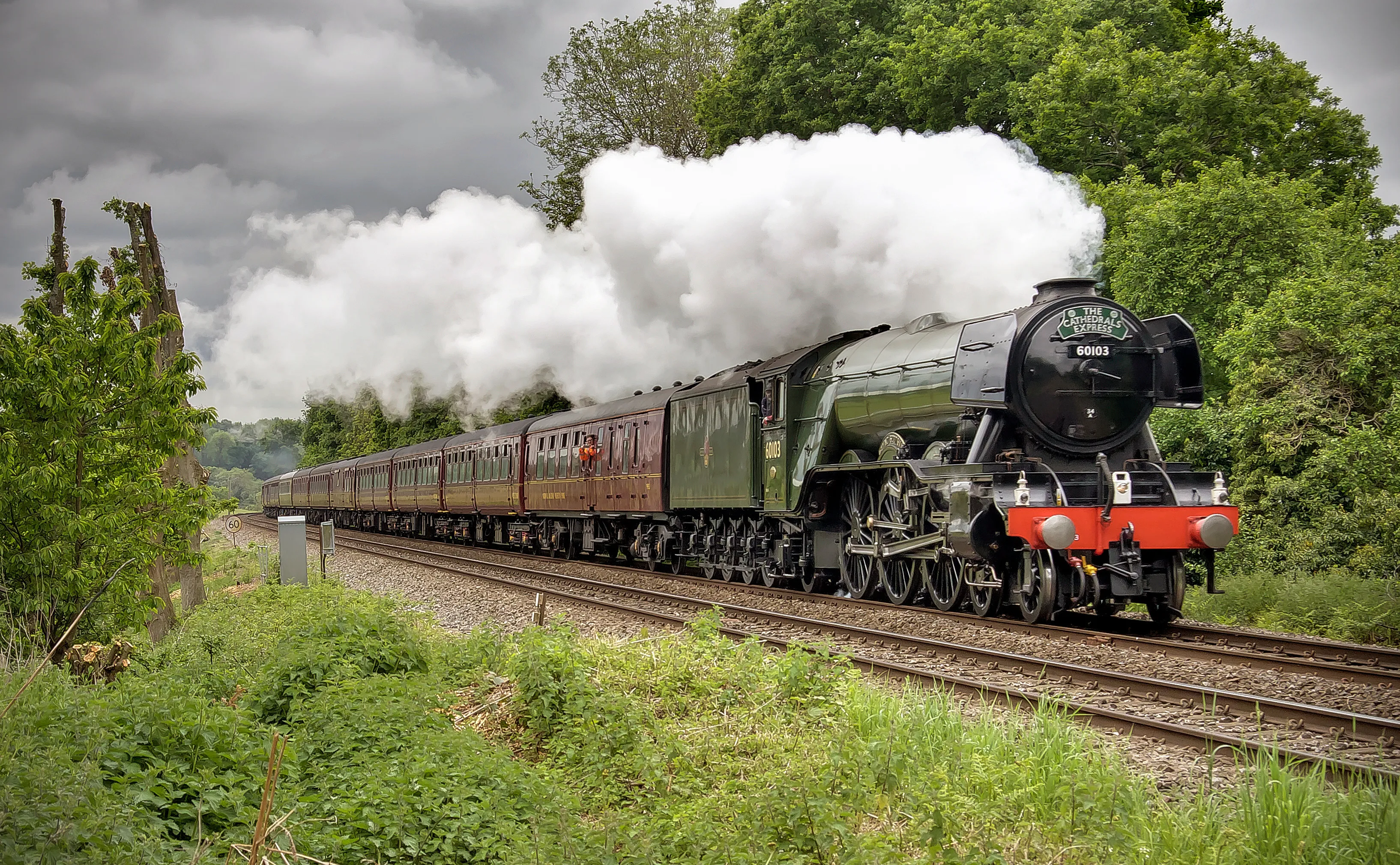 Flying Scotman steam train travelling with steam billowing from the funnel.