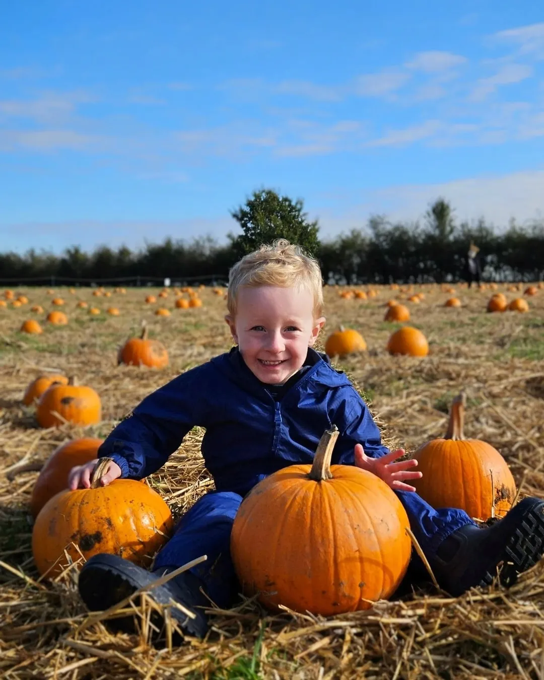 small blond haired boy sitting in a pumpkin field, with a pumpkin between his outstretched legs and one by his right hand.
