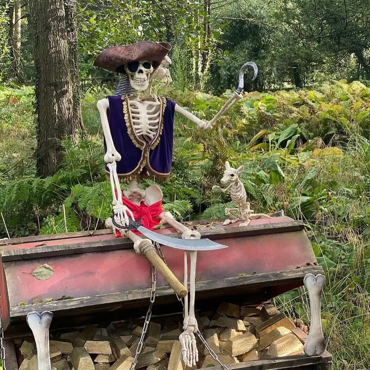 pirate skeleton on woodland halloween trail