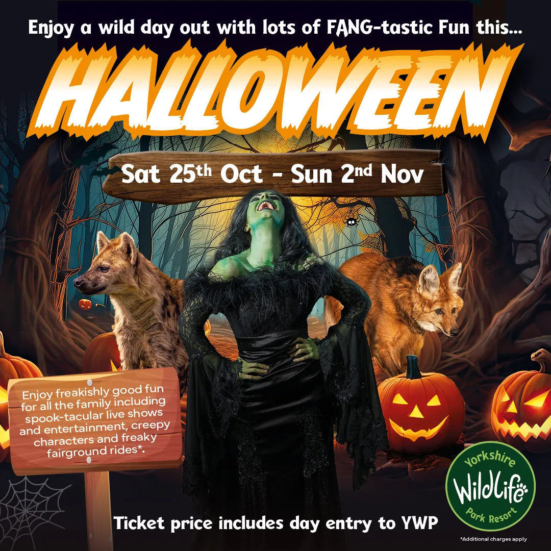 Halloween at Yorkshire Wildlife Park